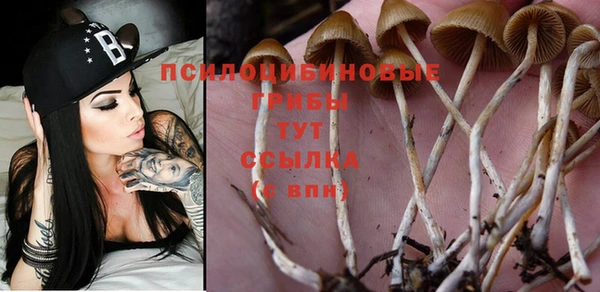 меф Бугульма