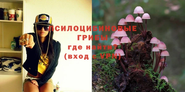 герыч Бородино